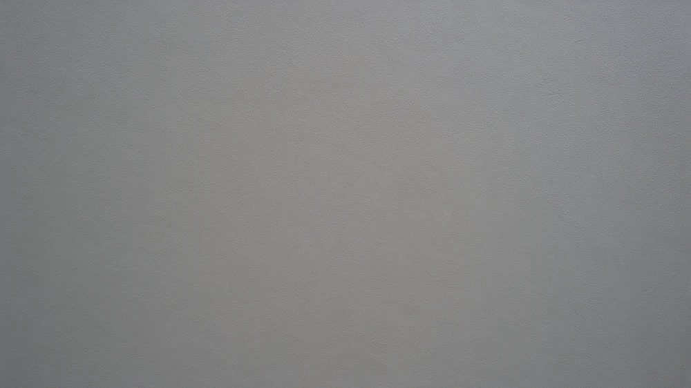 Close-up of a freshly painted soft grey wall with subtle surface texture