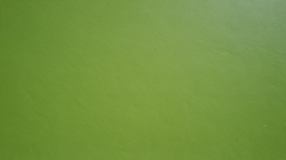 Close-up of a freshly painted vivid green wall with subtle surface texture
