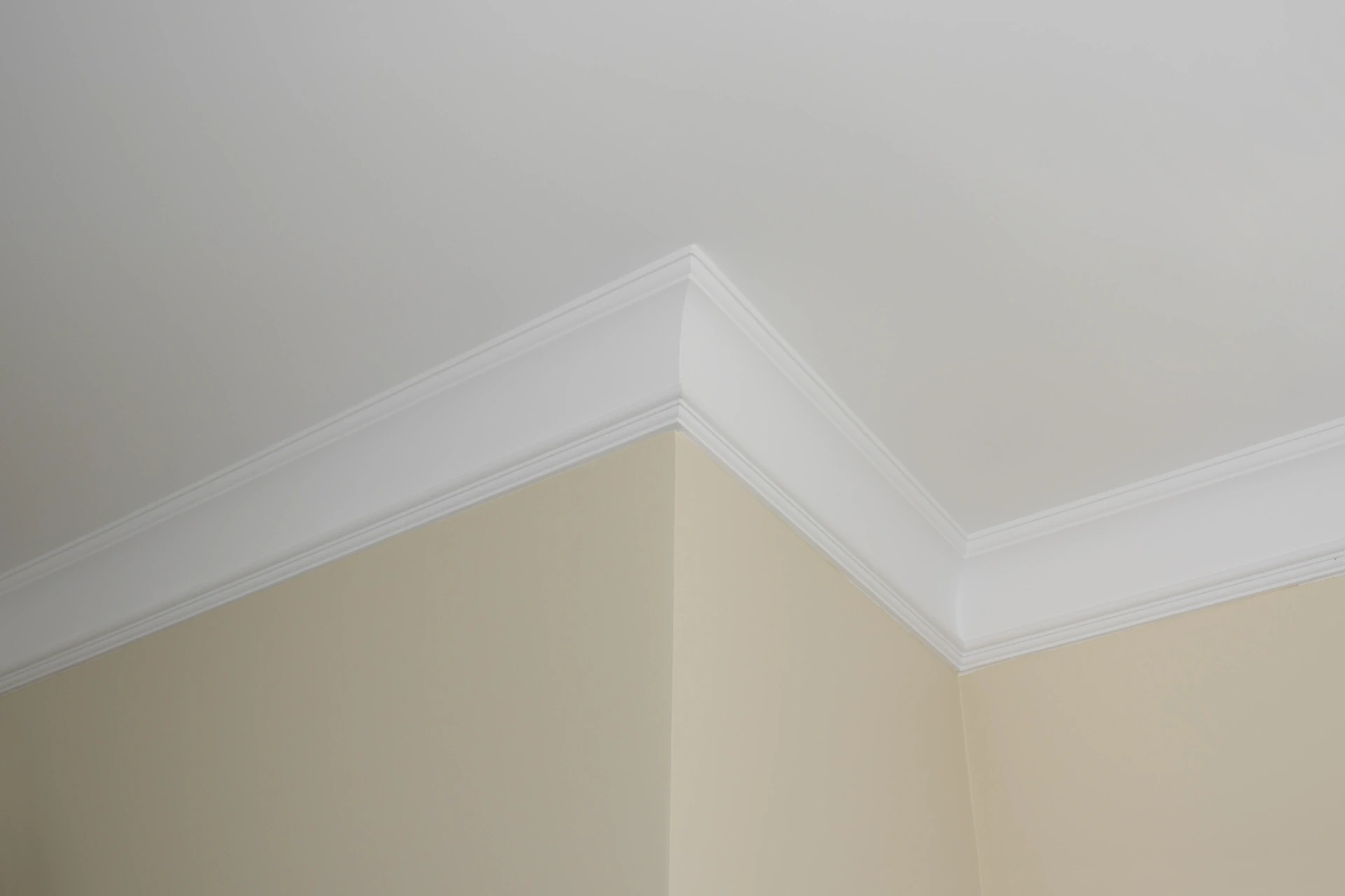 Freshly painted dusty-pink interior walls meeting a white ceiling and cornice
