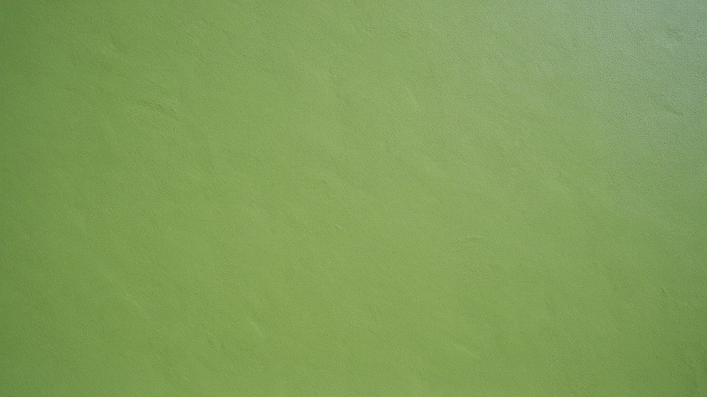 Close-up of a freshly painted lime-green wall with subtle surface texture