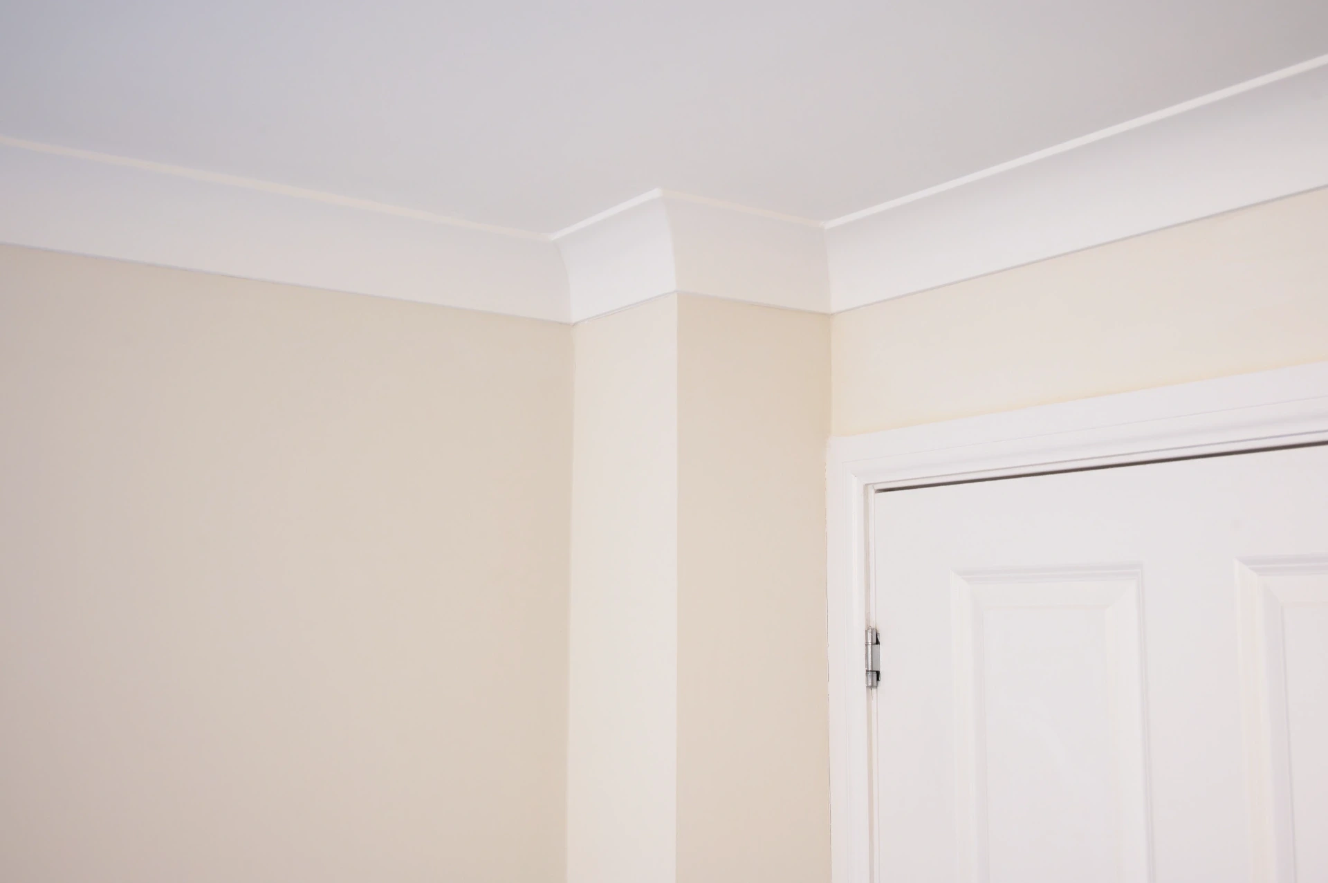Freshly painted pale green interior walls meeting a white ceiling and cornice