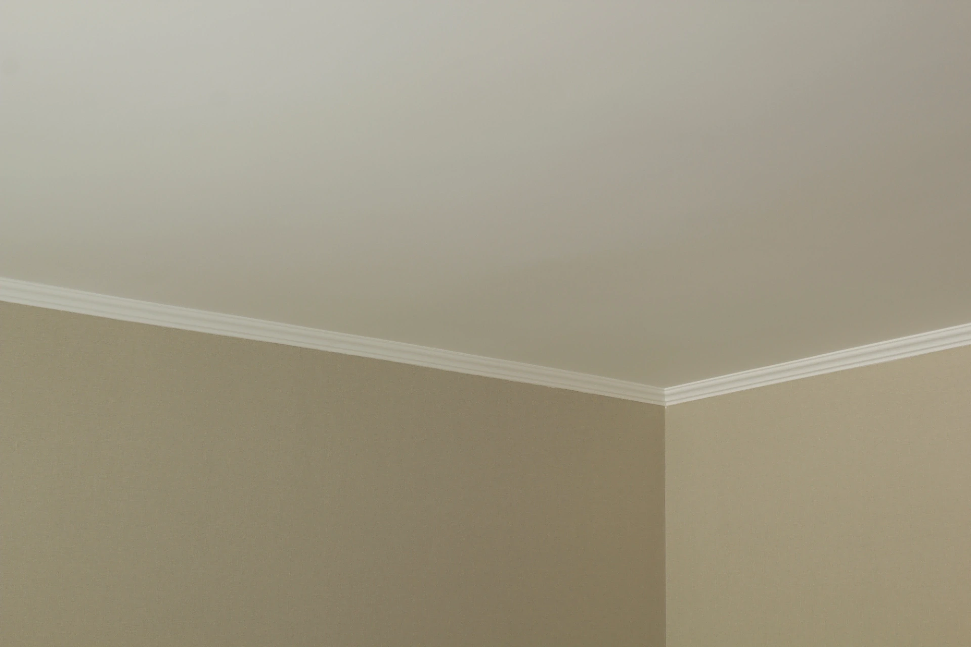 Freshly painted light neutral interior walls meeting a white ceiling and cornice