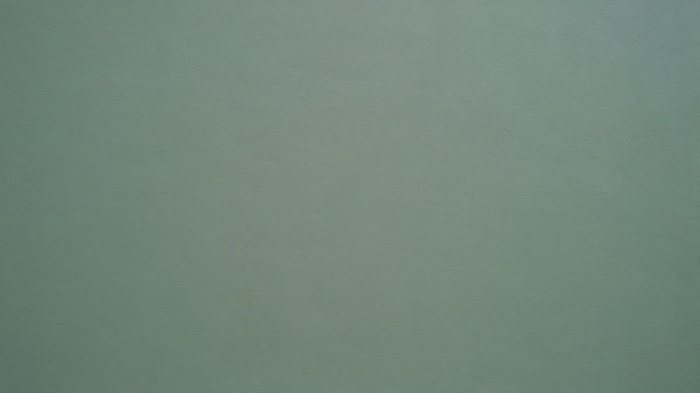 Close-up of a freshly painted muted grey-green wall with fine surface texture
